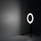 Торшер Gauss RL001
