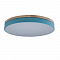 Светильник LOFT IT 10001/36 Blue